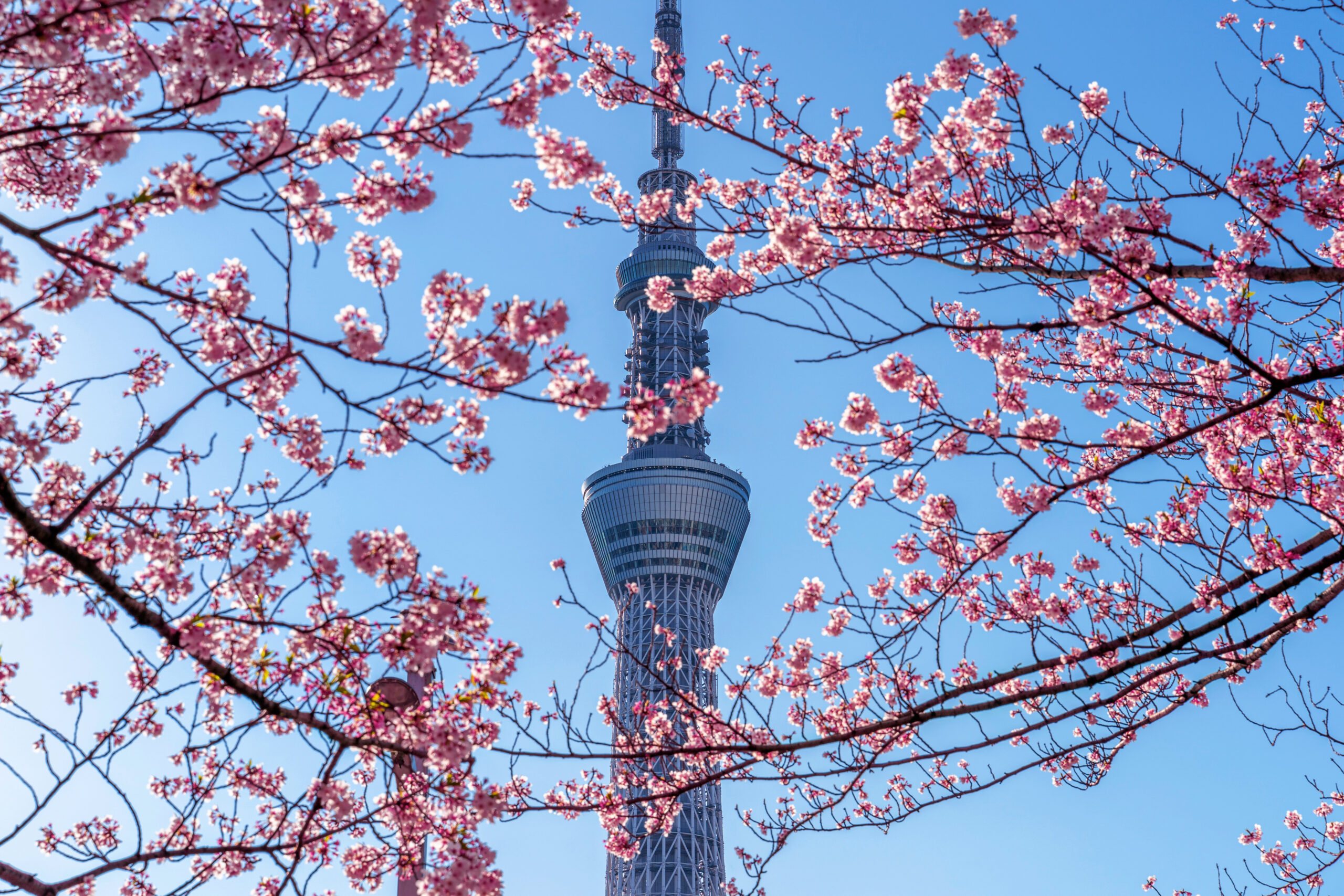 Guía para Visitar Tokyo Skytree: Una Mirada Elevada a Tokyo