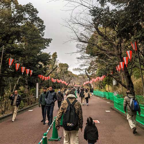 Entrada al Ueno Cherry Blossom Festival