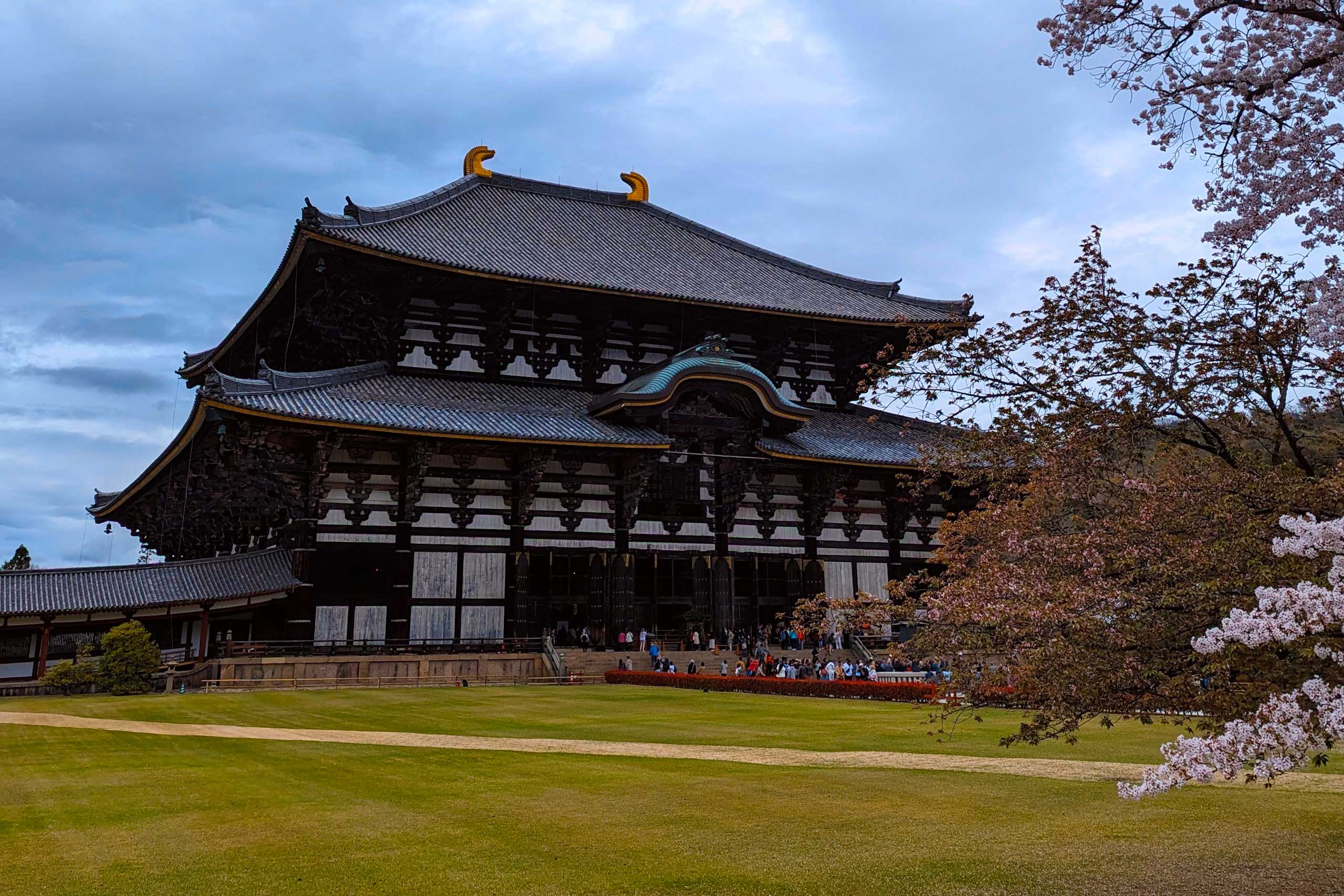 Tu Aventura Imperdible de un Día en Nara desde Osaka