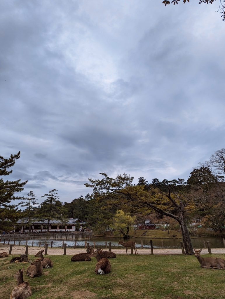 Parque de Nara