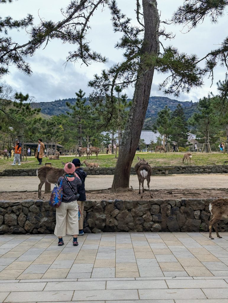 Parque de Nara